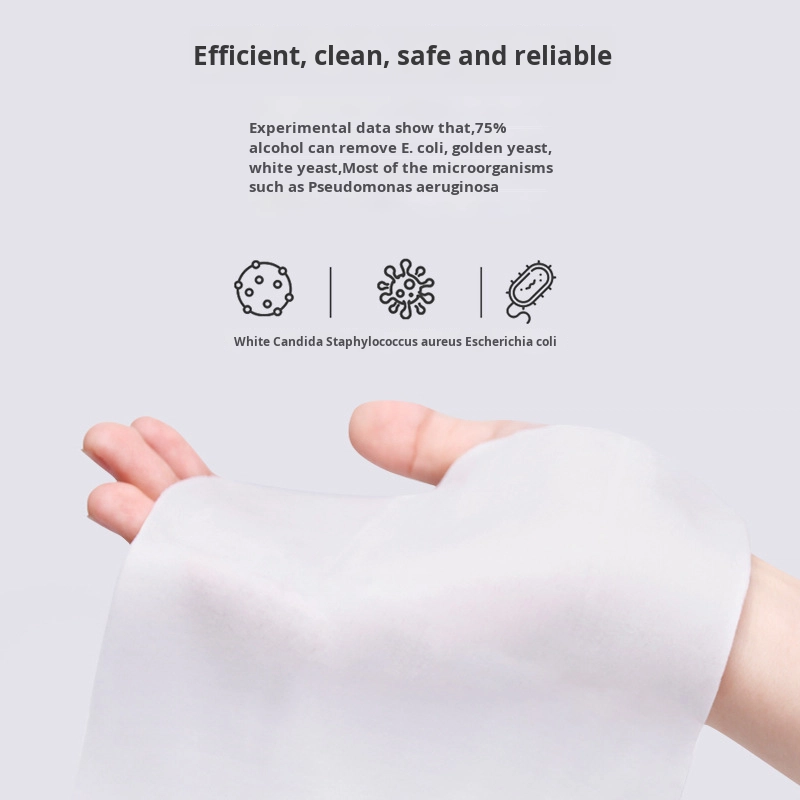 Factory Custom 75% Alcohol Wet Wipes 100 Draws 99.9% Sterilization Rate for CleaningMOQ10000bags 图3