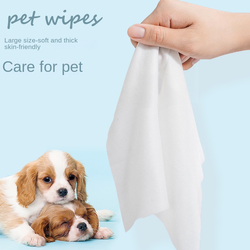 Factory Custom Logo 10pcs Eco-Friendly Pet Wipes No Irritation for Cleaning Pets' Tear Foot Butt 图4