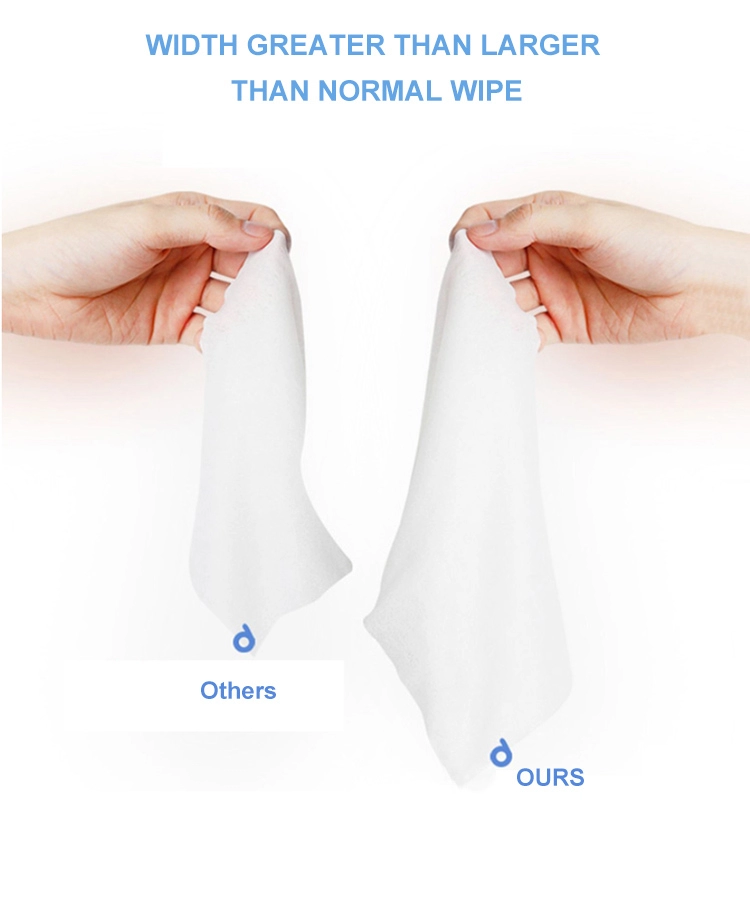 Hot Selling Low-Priced Wet Wipes for Houseplants for Patient Care 图4