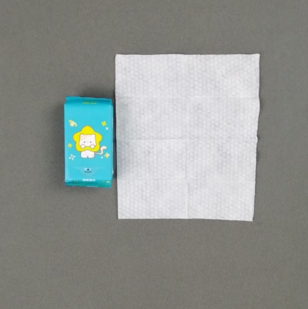 OEM Factory Custom Logo Mini Portable 6 Count Eco-Friendly Pet Wipes for Cleaning Pet Mouth Eye Nose Claws Fully Body 图5