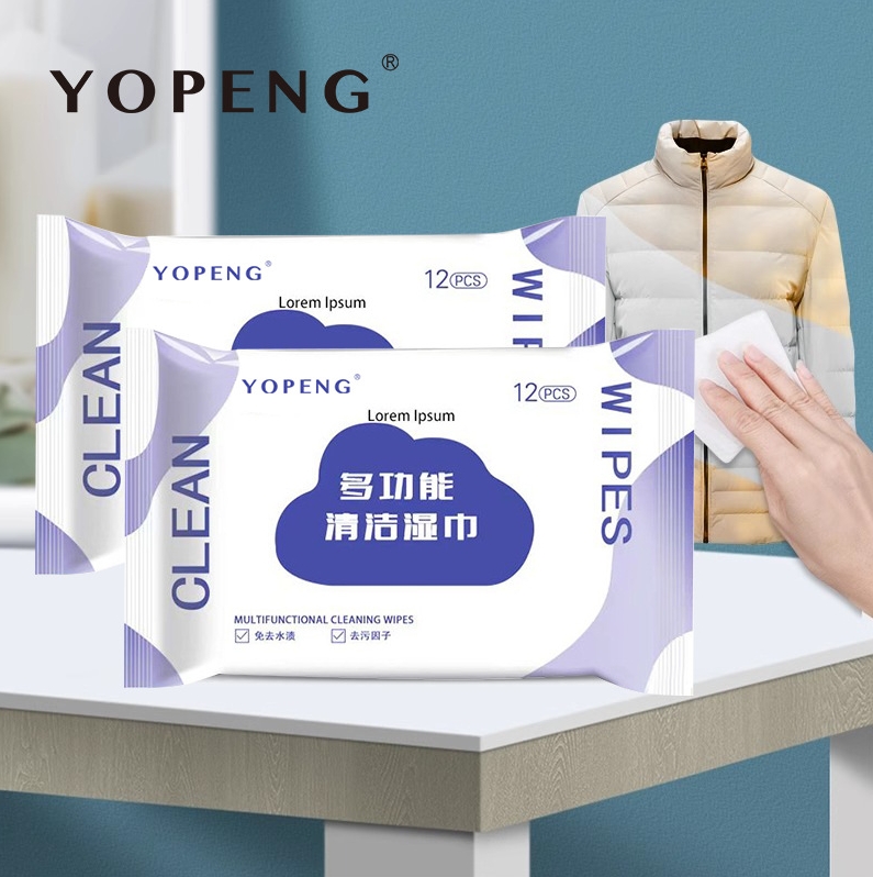 OEM Factory Custom Private Label Eco-Friendly Disposable 12pcs Down Jackets Wet Wipes for Cleaning Stain Remover Cloth Care 图5
